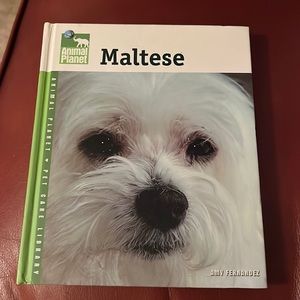 Maltese pet care book